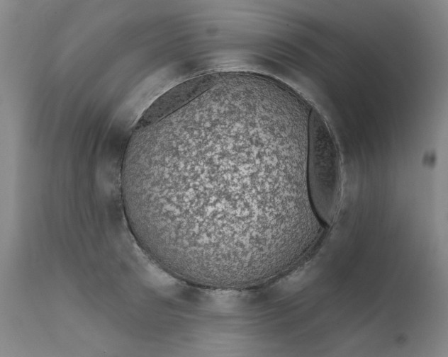 X0000112430897200909041433