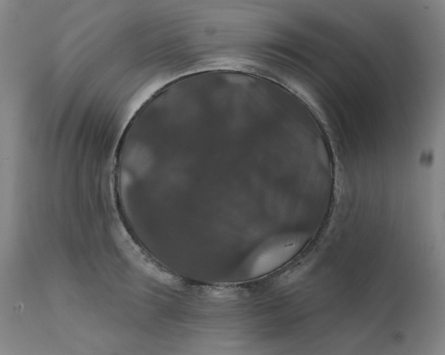 X0000112430899200909041433