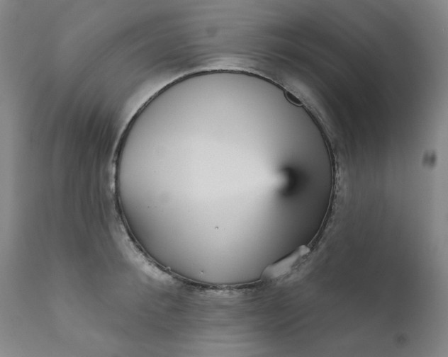 X0000112430900200909041433