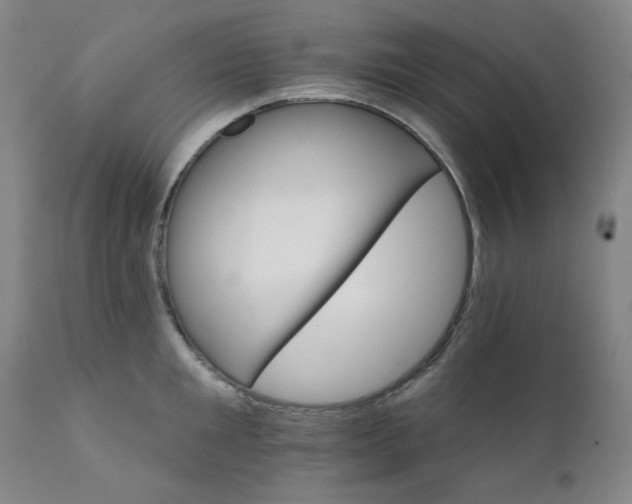 X0000112430901200909041433