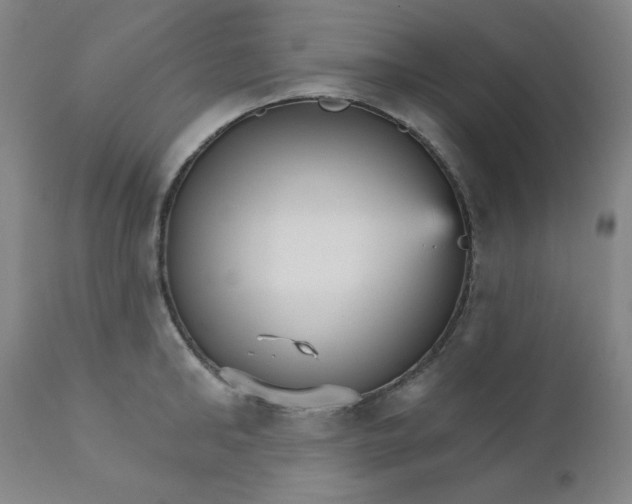 X0000112430902200909041433