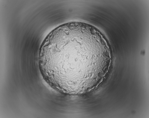 X0000112430903200909041433