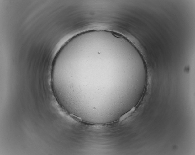 X0000112430904200909041433