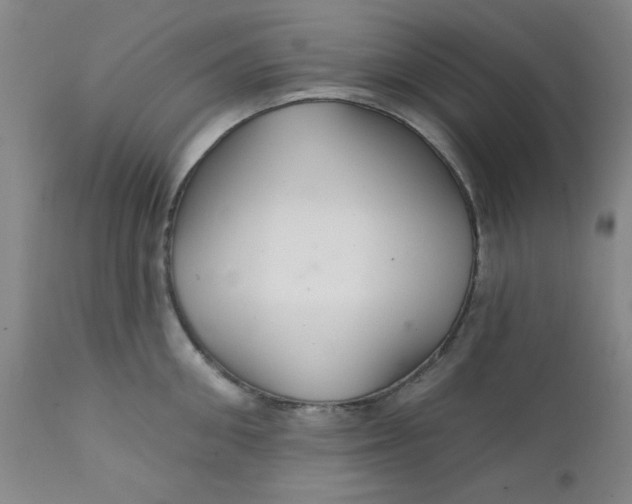 X0000112430906200909041433