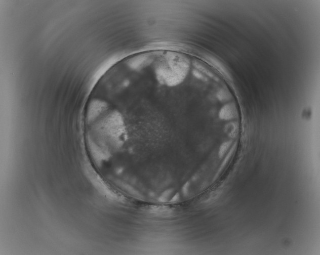 X0000112430907200909041433