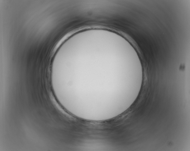 X0000112430911200909041433