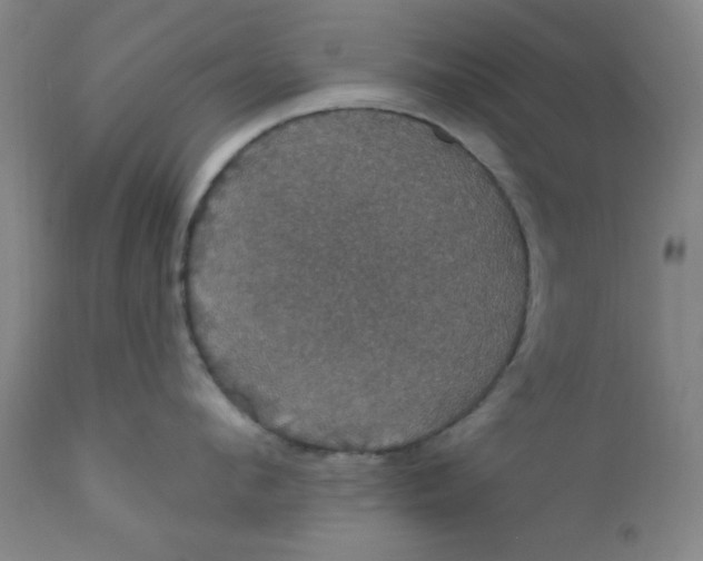 X0000112430912200909041433