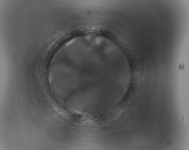 X0000112430913200909041432