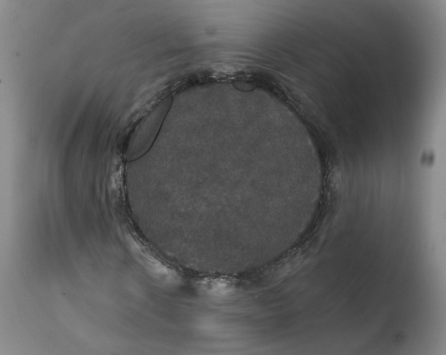 X0000112430914200909041432