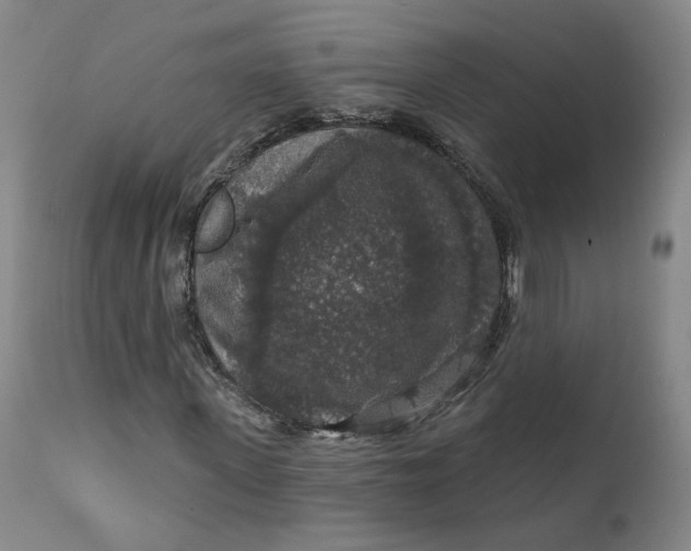 X0000112430915200909041432