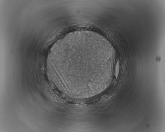 X0000112430916200909041432