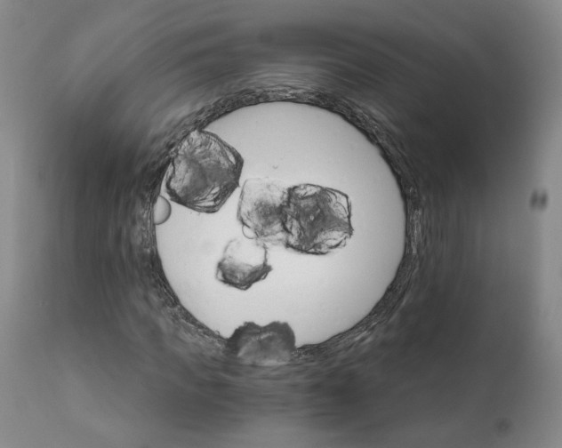 X0000112430917200909041432