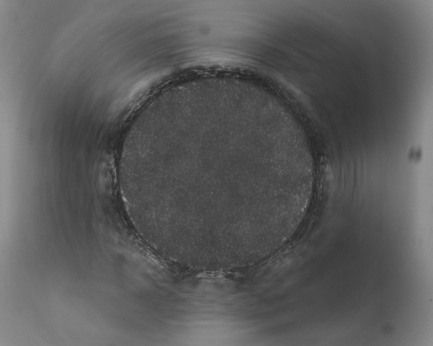 X0000112430918200909041432