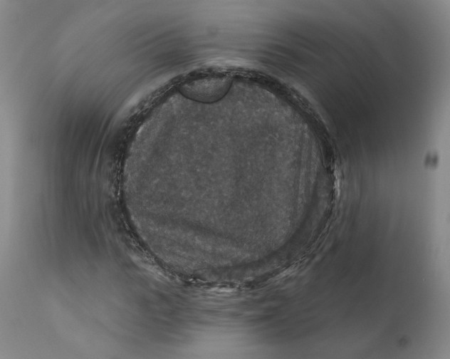 X0000112430919200909041432