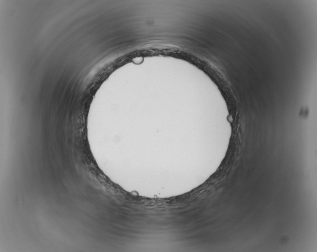 X0000112430920200909041432