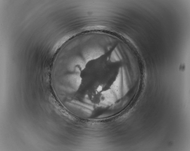 X0000112430921200909041432