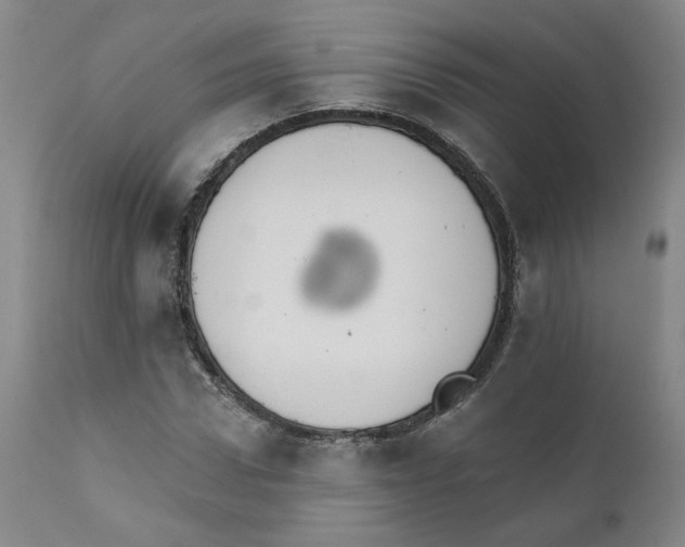 X0000112430922200909041432