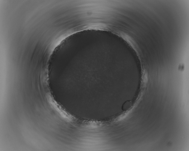 X0000112430923200909041432