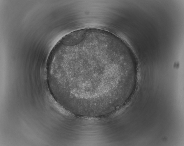 X0000112430924200909041432