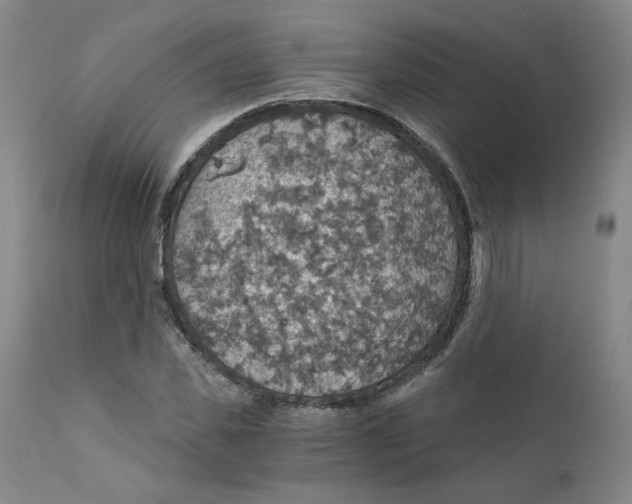 X0000112430925200909041432