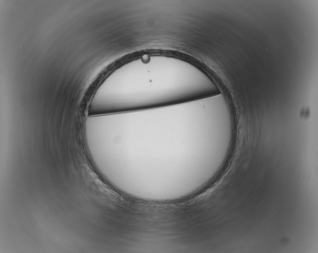 X0000112430926200909041432