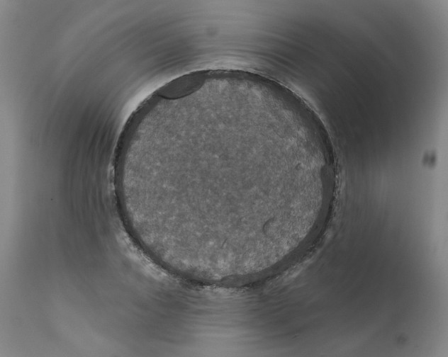 X0000112430928200909041432