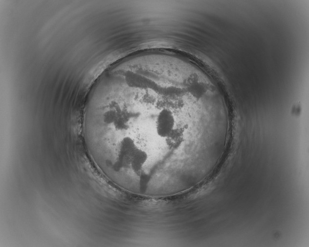 X0000112430929200909041432