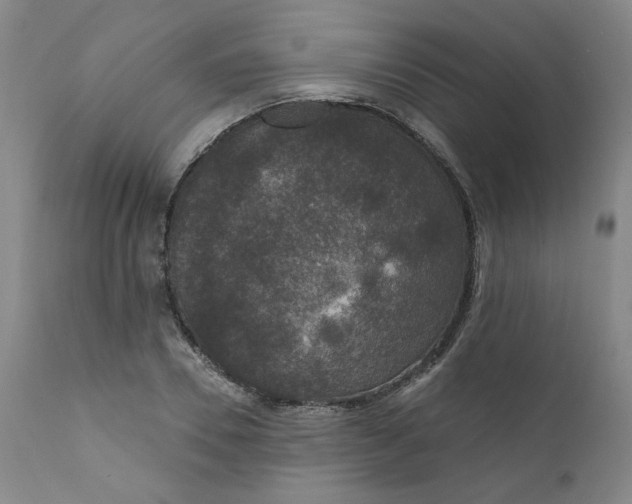 X0000112430930200909041432