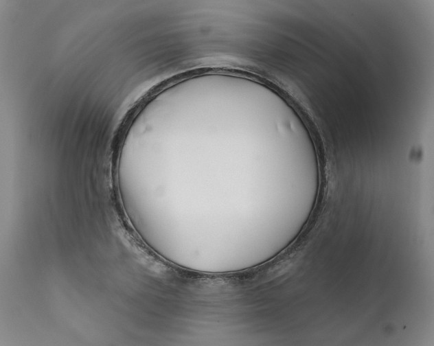 X0000112430931200909041432