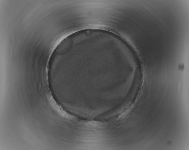 X0000112430932200909041432