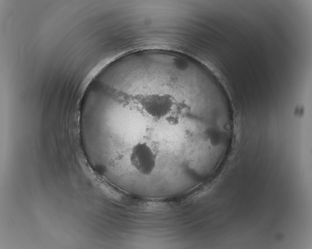 X0000112430933200909041432