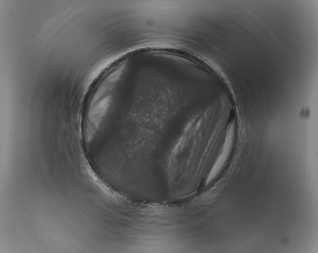 X0000112430935200909041432