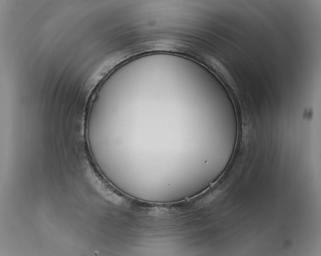 X0000112430938200909041432