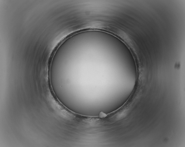 X0000112430939200909041432