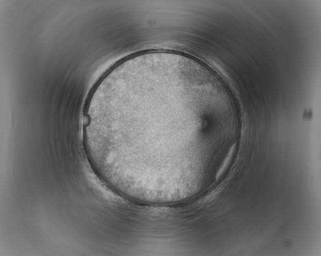 X0000112430940200909041433