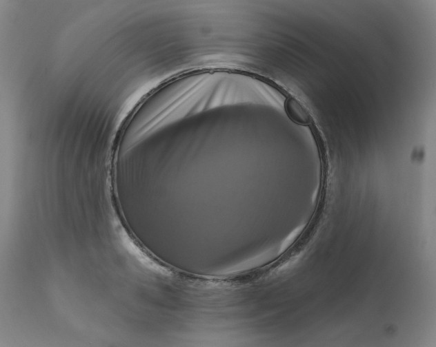 X0000112430941200909041433