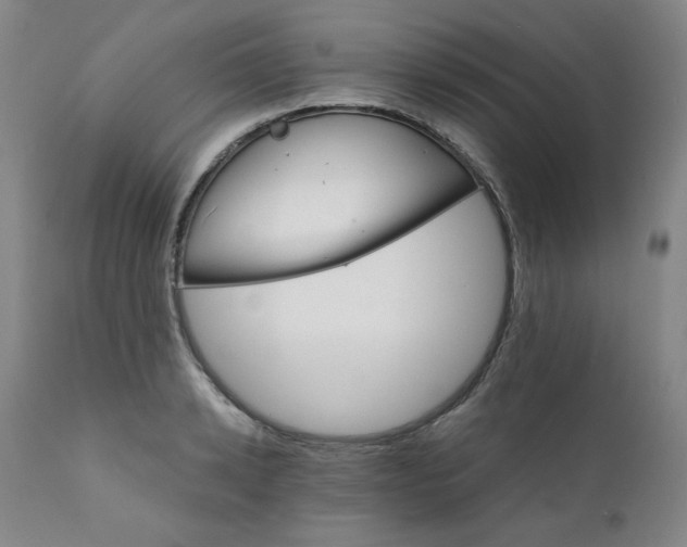 X0000112430942200909041433