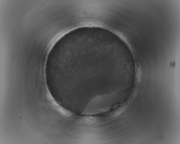 X0000112430943200909041433