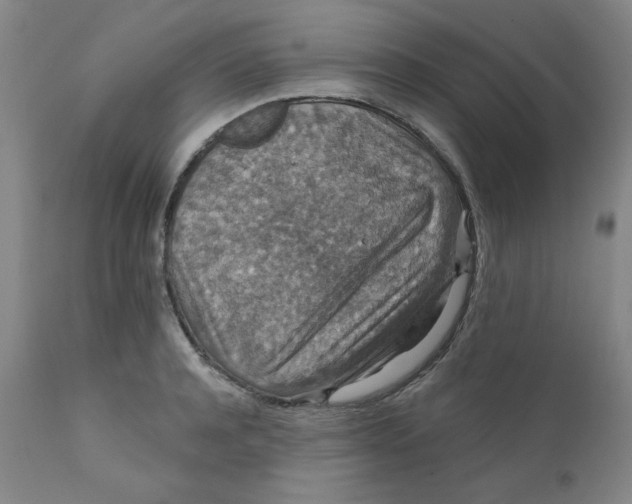 X0000112430944200909041433