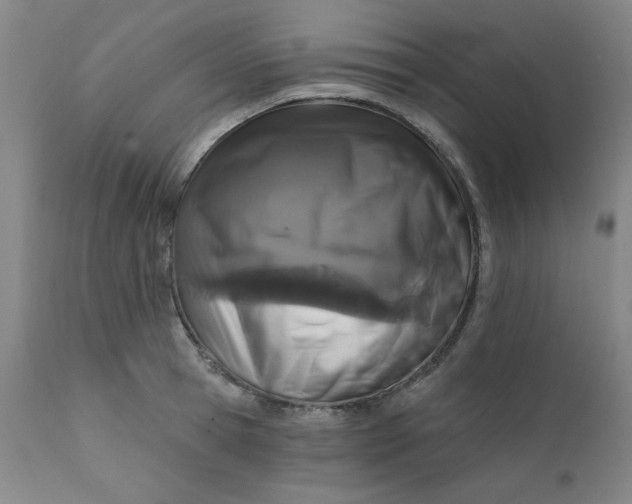 X0000112430945200909041433