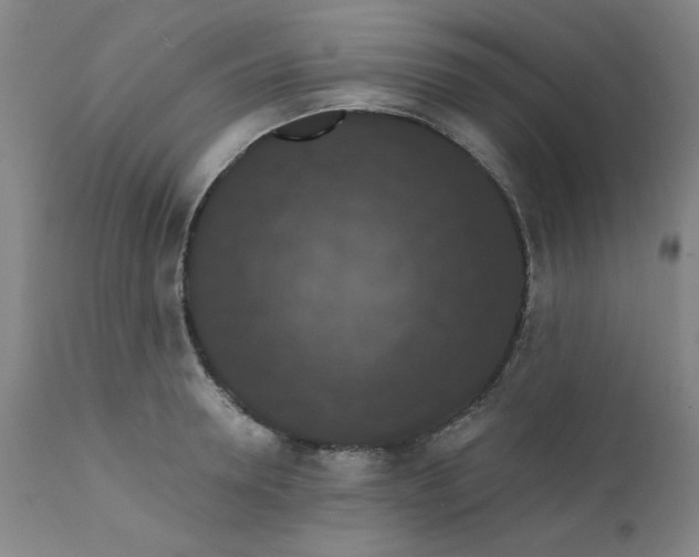 X0000112430946200909041433