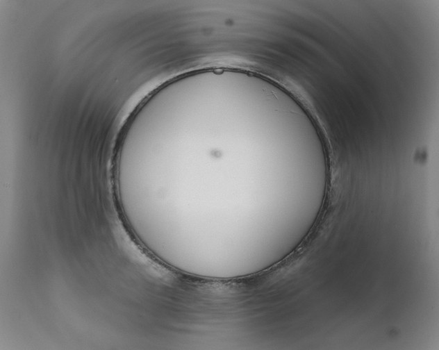 X0000112430947200909041433