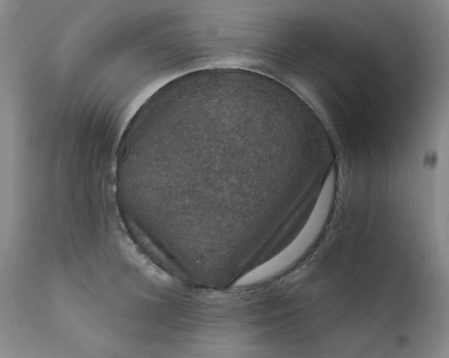 X0000112430948200909041433