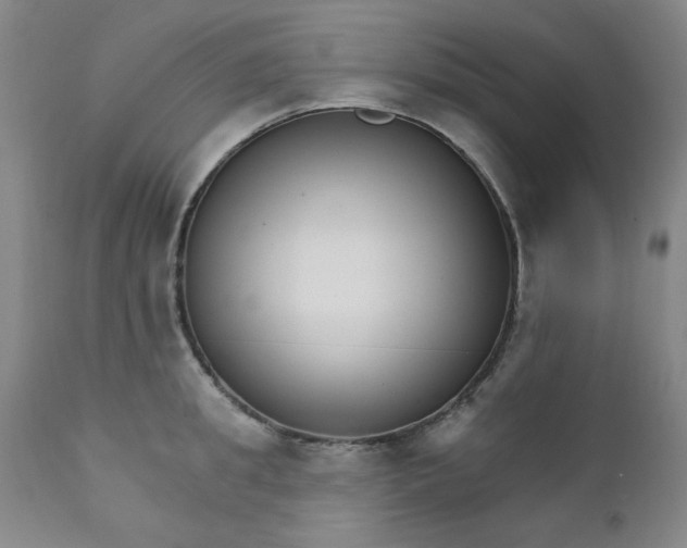 X0000112430949200909041433