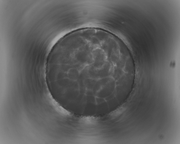 X0000112430950200909041433