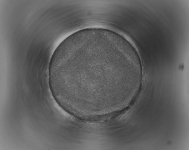 X0000112430951200909041433