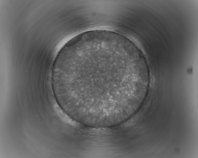 X0000112430952200909041433