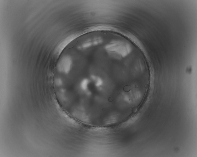 X0000112430953200909041433