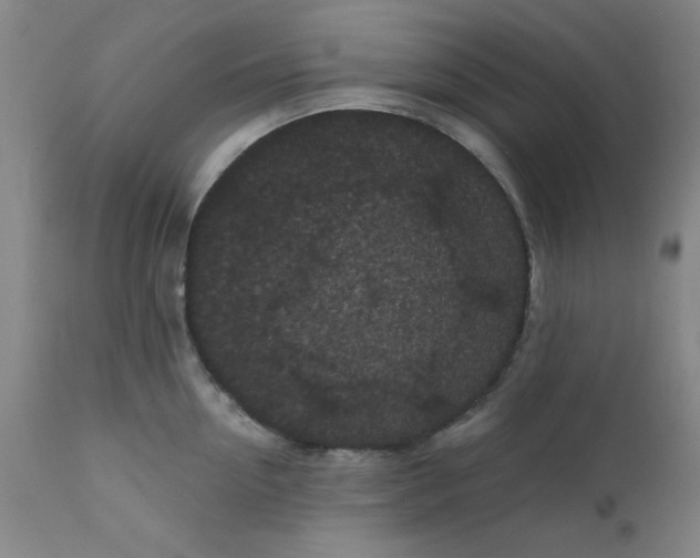 X0000112430954200909041433