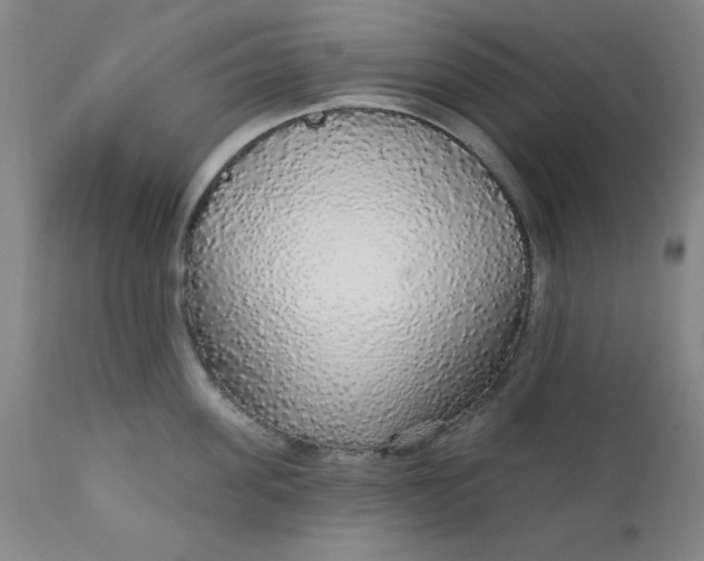 X0000112430955200909041433